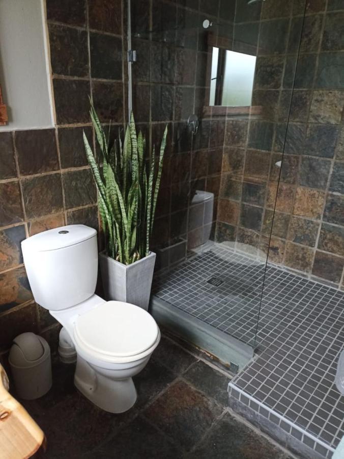 Fijnbos Guesthouse Knysna Exteriér fotografie